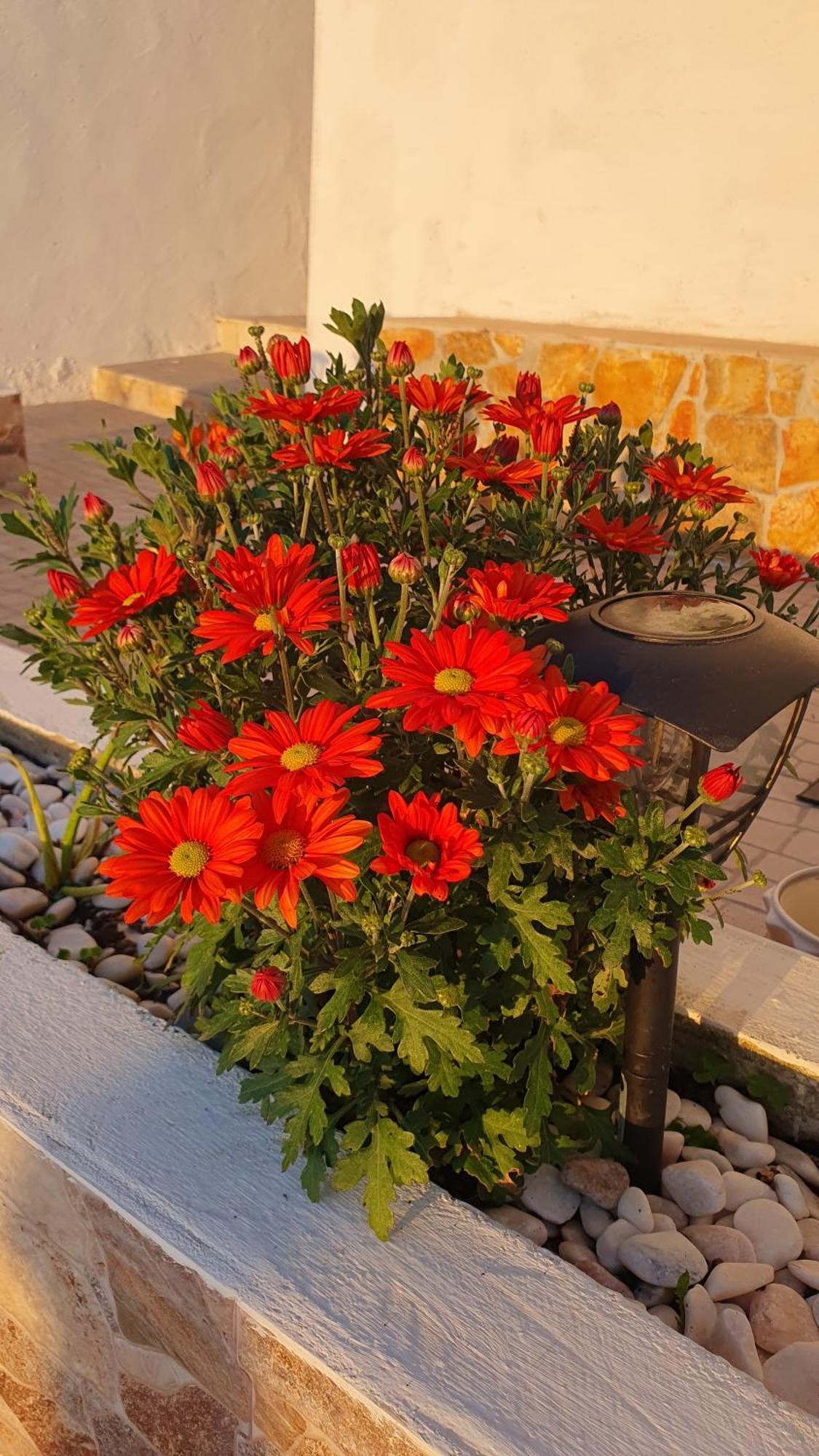 Casa Vale Διαμέρισμα Alenquer Εξωτερικό φωτογραφία